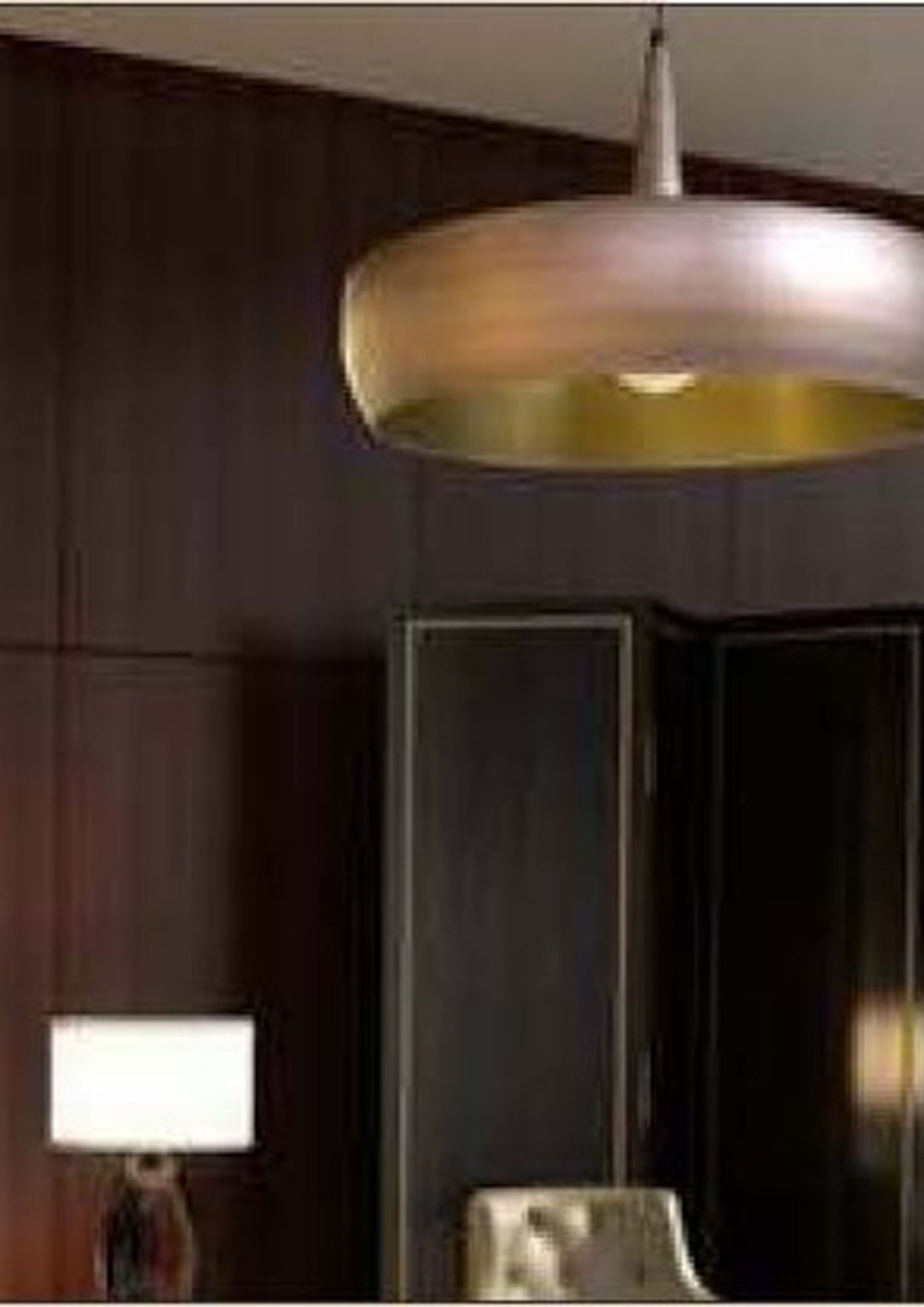 Beyond Lights - Brass Pendant Lamp- GL